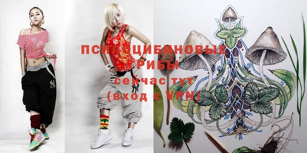 МДМА Абаза