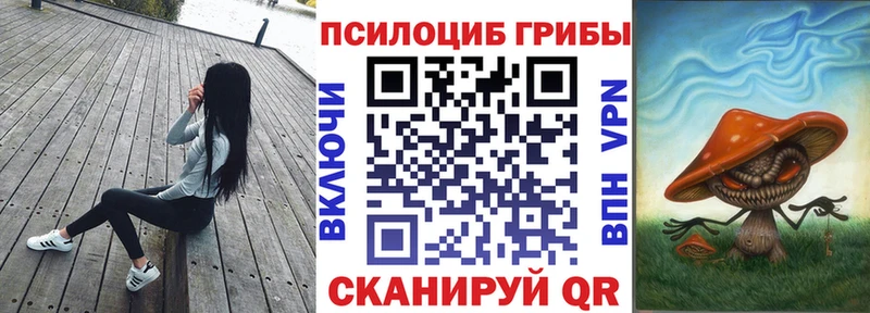 Псилоцибиновые грибы Cubensis  Ртищево 