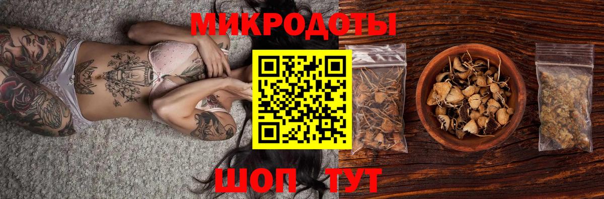 Псилоцибиновые грибы Psilocybe Ртищево